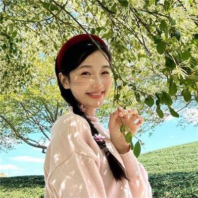 动物狂想曲第二季