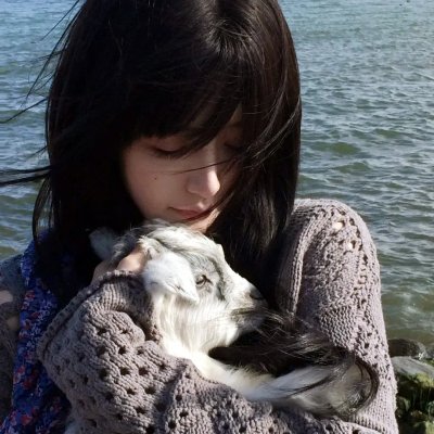 海伦夫人的冒险